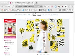 ECサイト構築・プロモーション・販売実務のスタッフ募集!